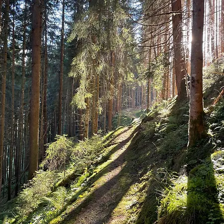 Alpenapartment Fuer Familien Und Gruppen Zentrale Lage Фюген