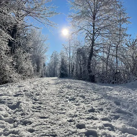 Alpenapartment Fuer Familien Und Gruppen Zentrale Lage Апартаменты *