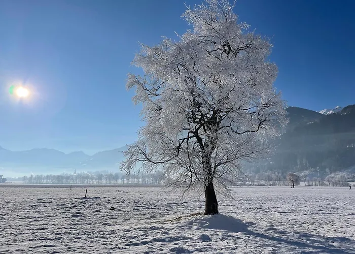 Διαμέρισμα Alpenapartment Fuer Familien Und Gruppen Zentrale Lage Fügen