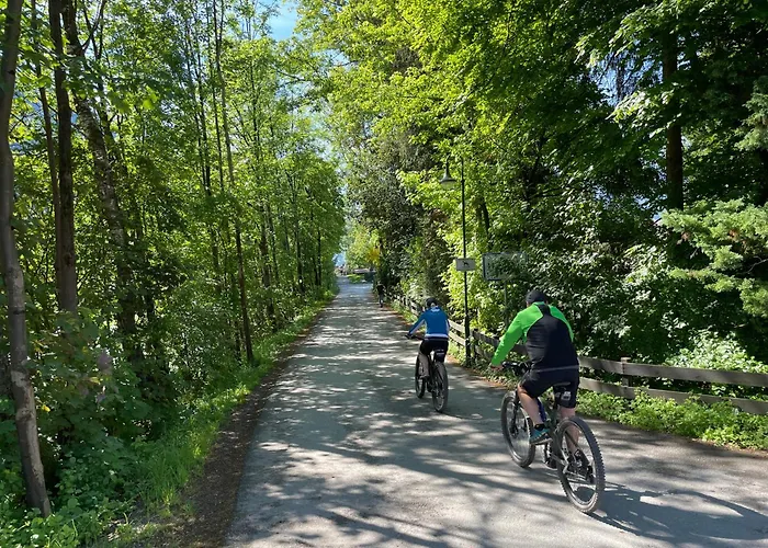 Alpenapartment Fuer Familien Und Gruppen Zentrale Lage Appartement *