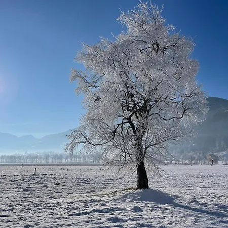 公寓 Alpenapartment Fuer Familien Und Gruppen Zentrale Lage 菲根