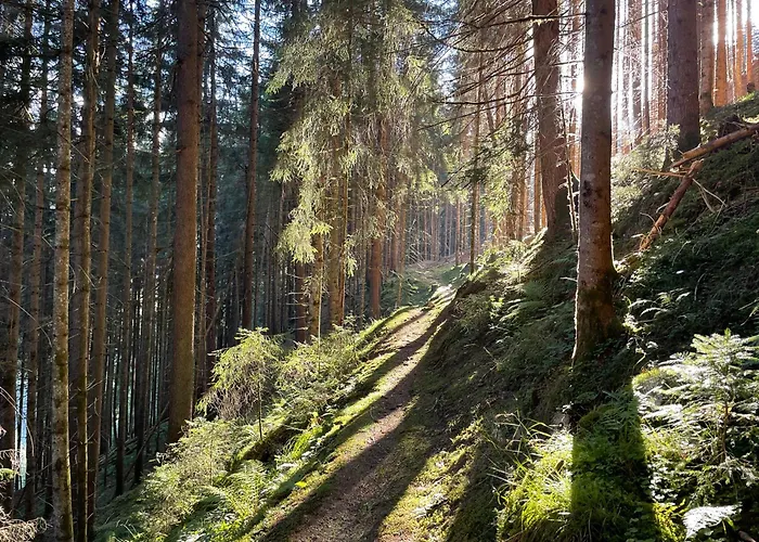 Alpenapartment Fuer Familien Und Gruppen Zentrale Lage 菲根