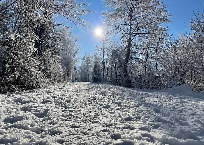 Alpenapartment Fuer Familien Und Gruppen Zentrale Lage 公寓 *